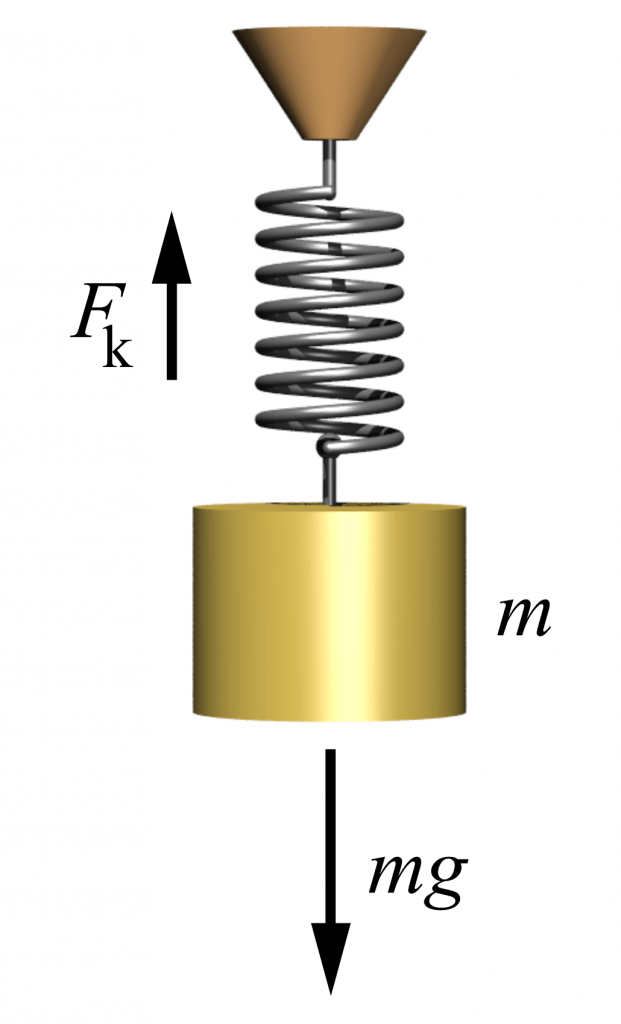 spring-force-definition-formula-and-examples